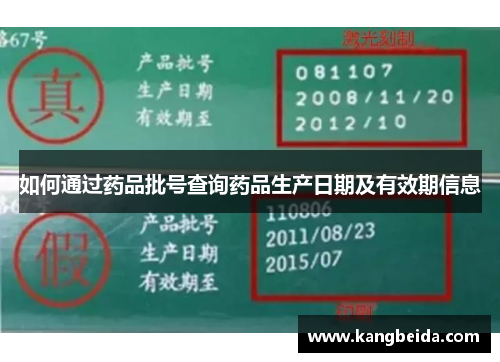 如何通过药品批号查询药品生产日期及有效期信息