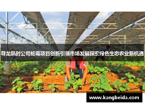 尊龙凯时公司蛇莓项目创新引领市场发展探索绿色生态农业新机遇