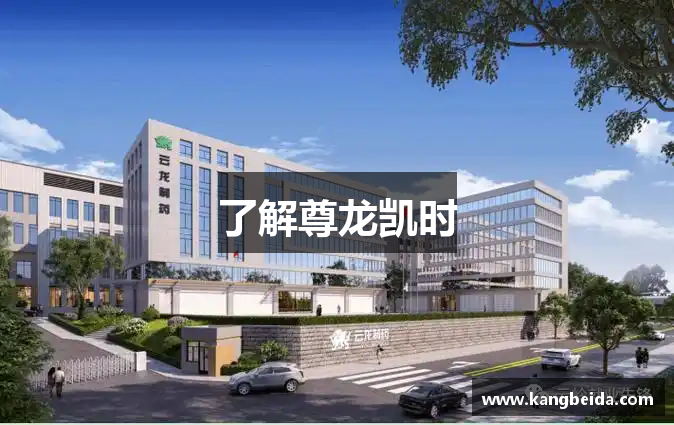 了解尊龙凯时
